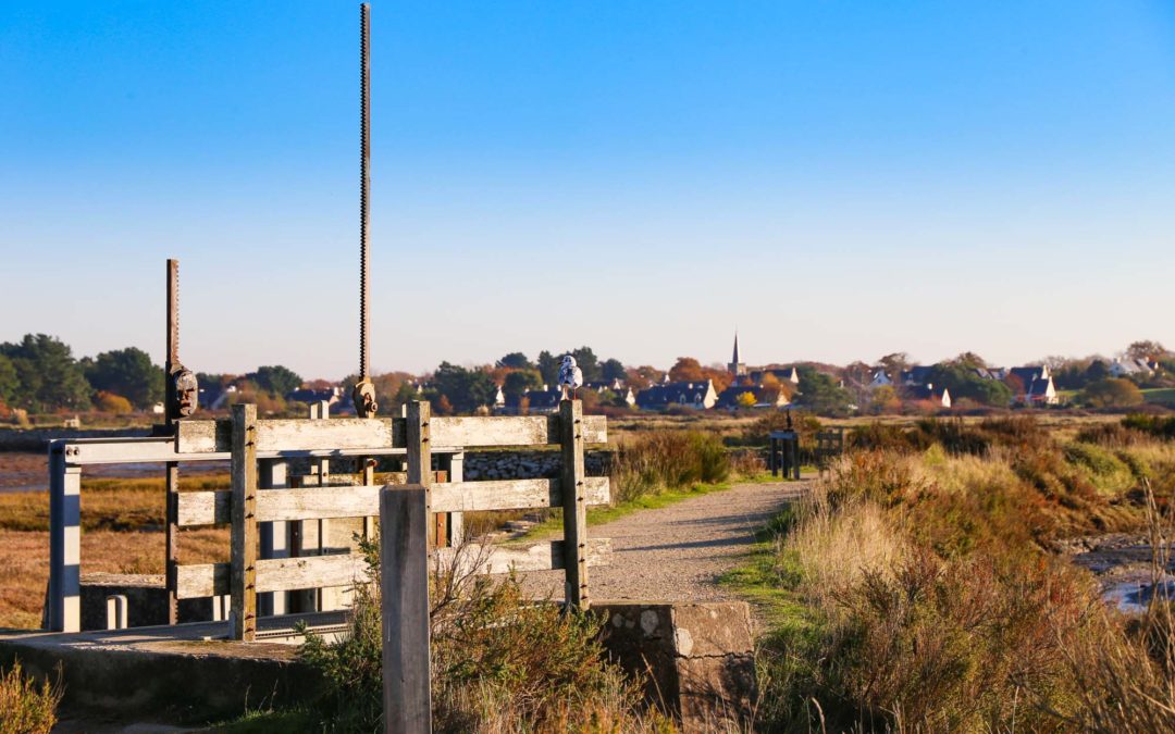 A la découverte des marais salants de Lasné