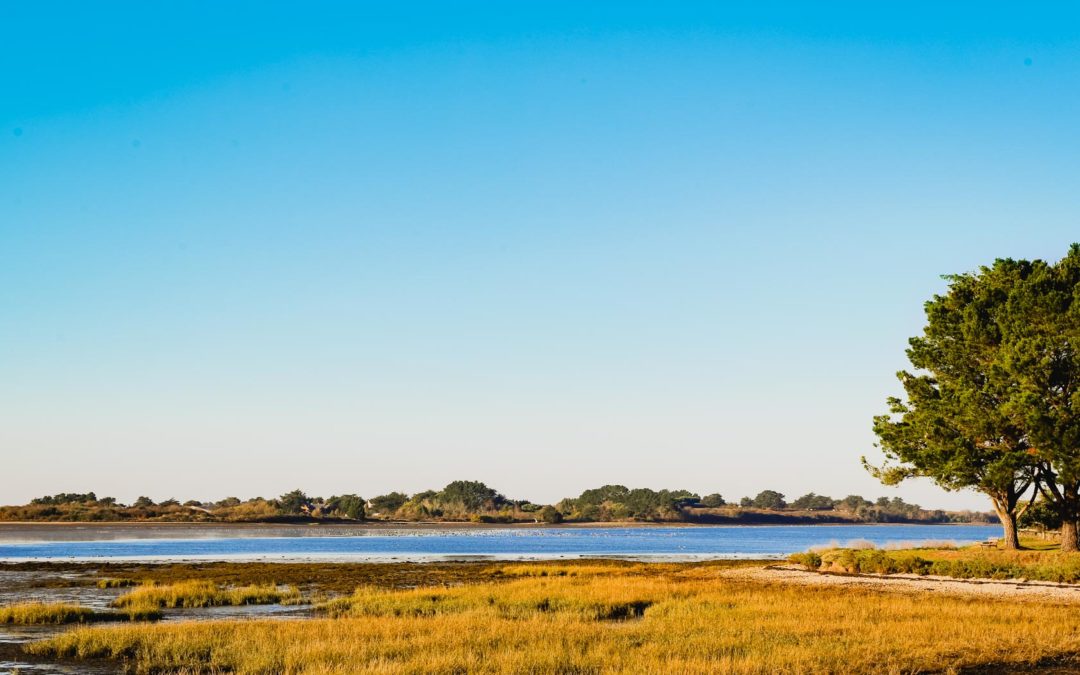 Nous sommes toujours ouverts !